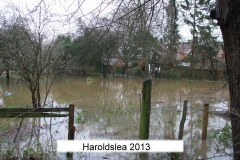 harrowsley bungalow paddock 2013