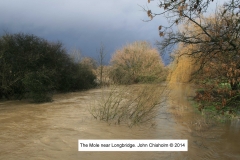 mole by longbridge 2014