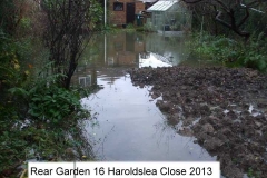 no 16 back garden