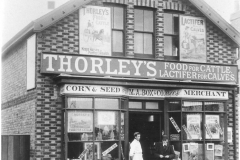 Thorleyss c1895