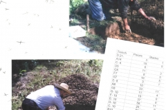 Digging at the Mesolithic site