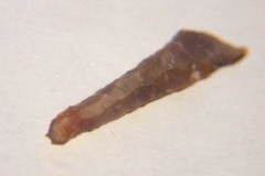 microlith