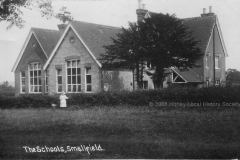 Smallfield School